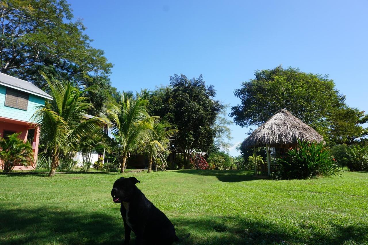 Mana Kai Camping & Cabins San Ignacio Bagian luar foto