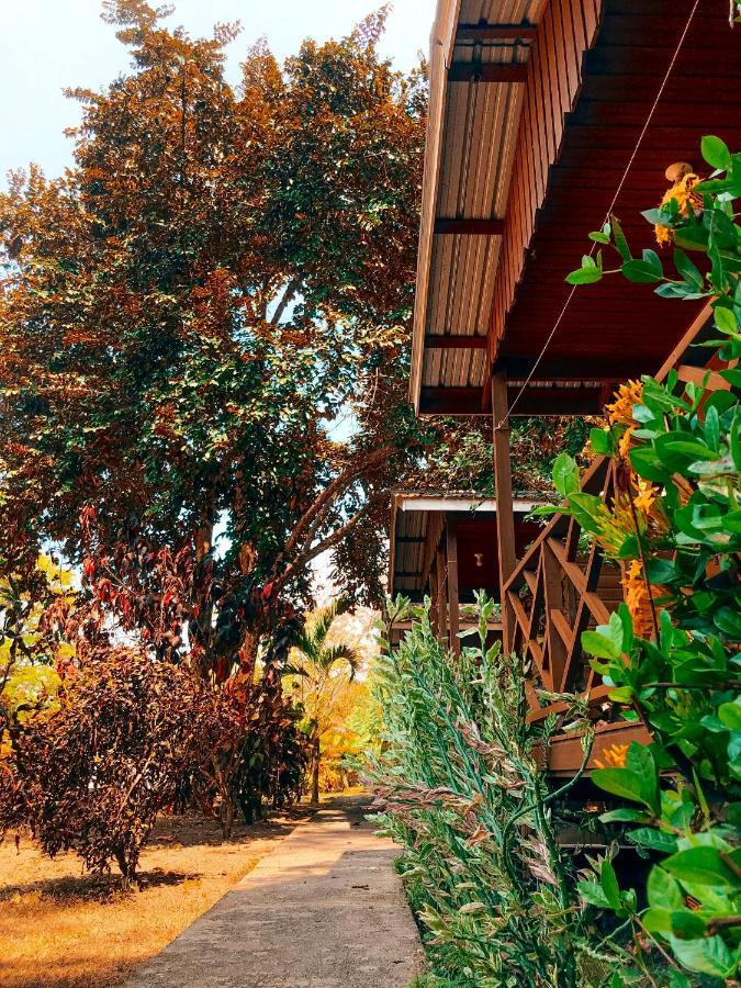 Mana Kai Camping & Cabins San Ignacio Bagian luar foto
