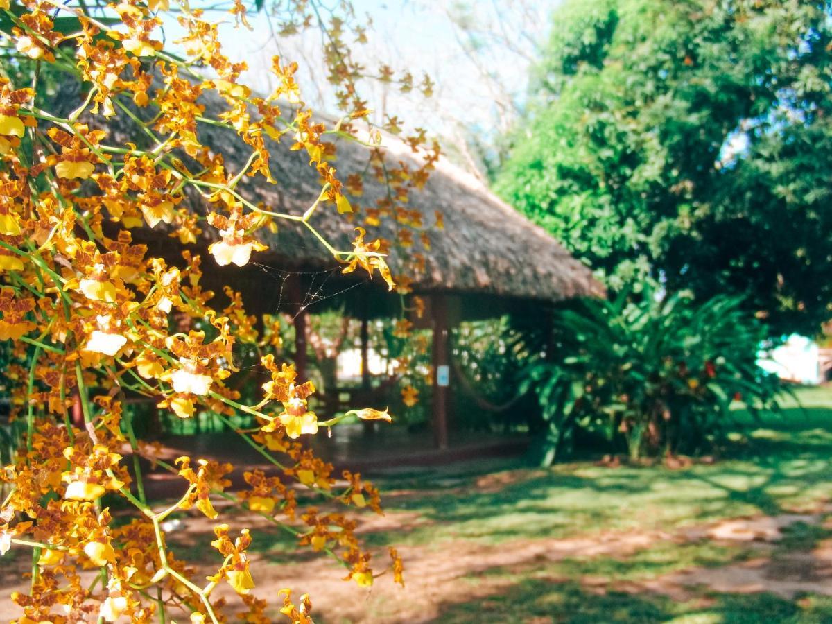 Mana Kai Camping & Cabins San Ignacio Bagian luar foto