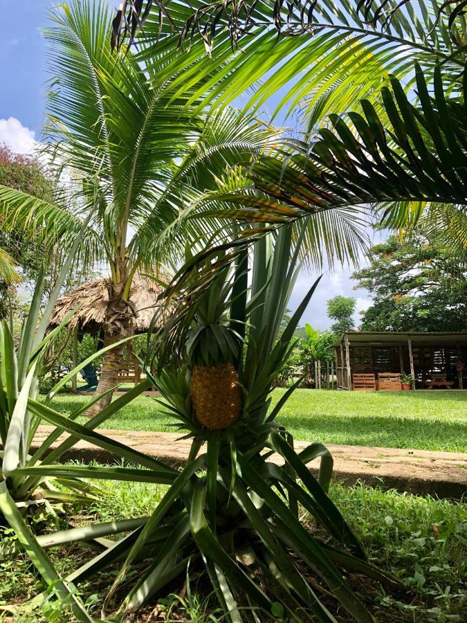 Mana Kai Camping & Cabins San Ignacio Bagian luar foto
