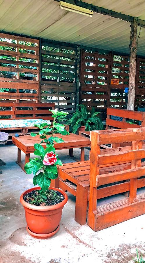 Mana Kai Camping & Cabins San Ignacio Bagian luar foto