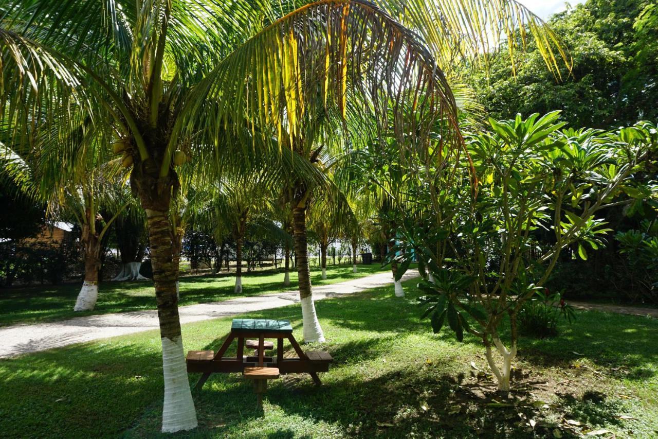 Mana Kai Camping & Cabins San Ignacio Bagian luar foto